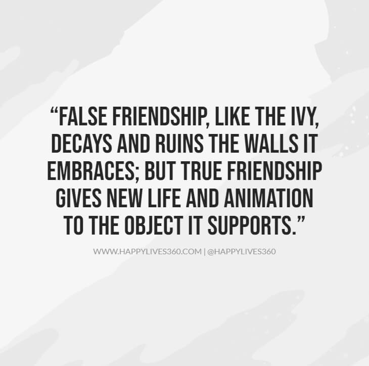 80 Quotes For Fake Family, Fake People & Fake Friends