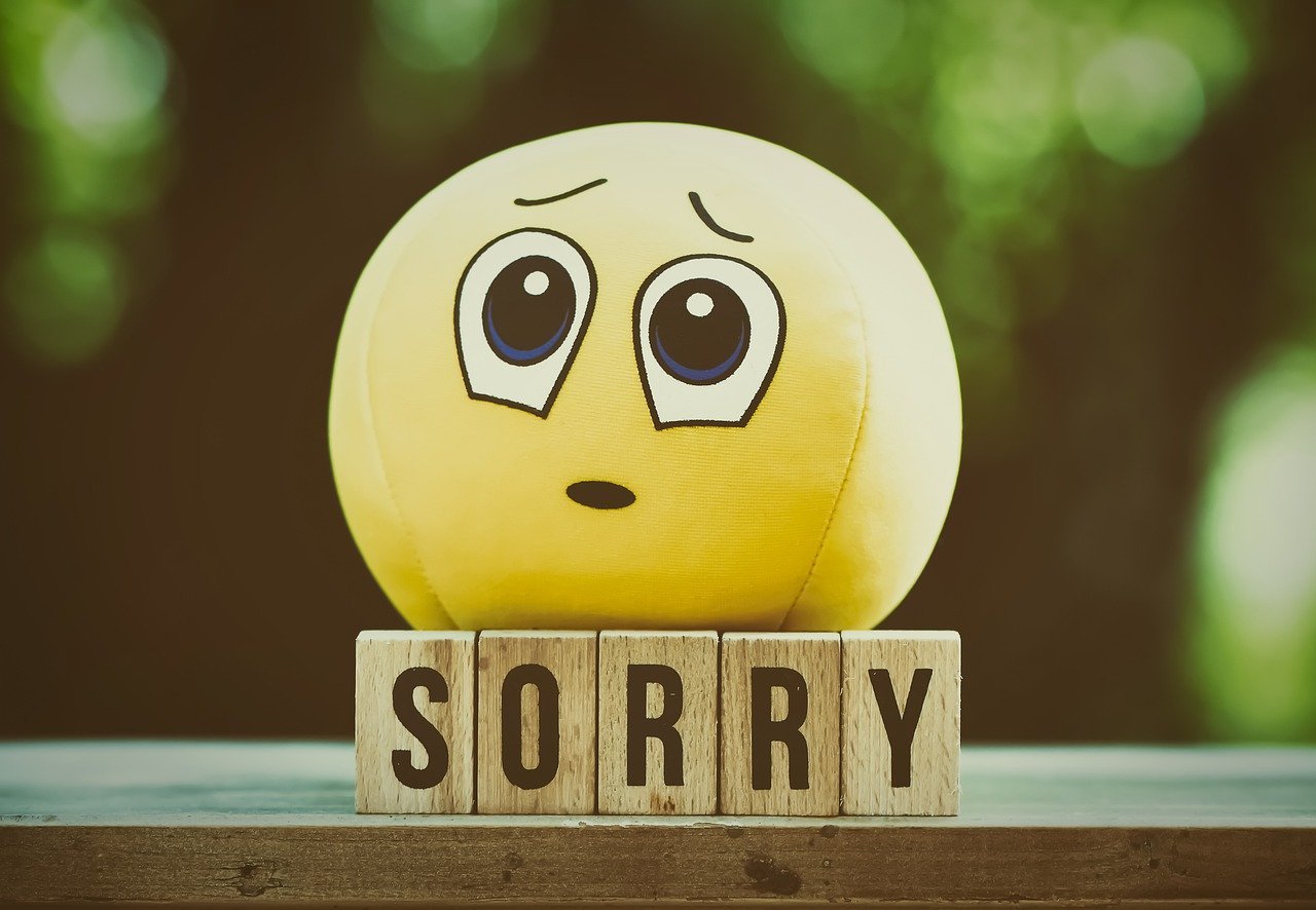 95-i-m-sorry-quotes-to-apologize-to-someone